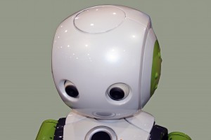 Vstone Robovie R3