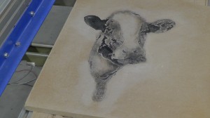 Sample Cow Head CNC Sign Projects